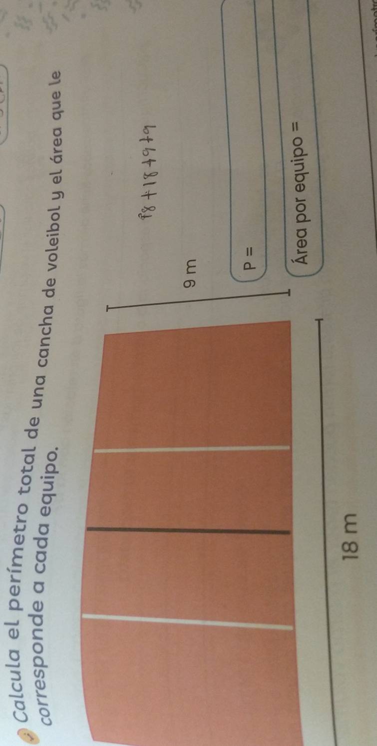 Calcula el perímetro total de una cancha de voleibol y el área que le
corresponde a cada equipo.