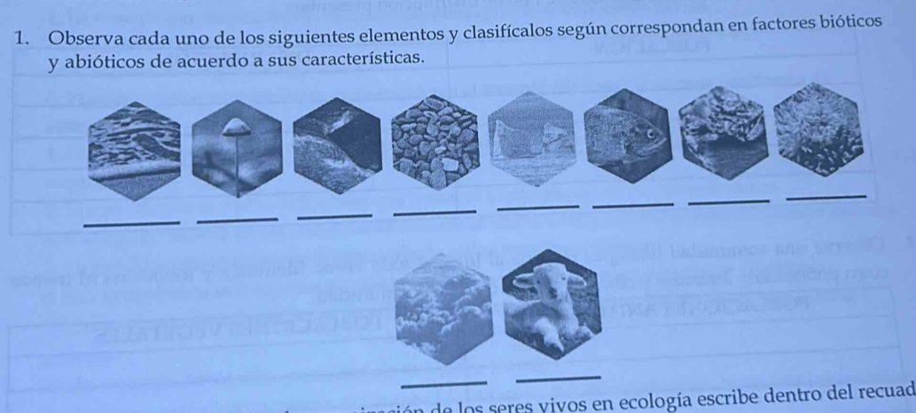 Observa cada uno de los siguientes elementos y clasifícalos según correspondan en factores bióticos 
y abióticos de acuerdo a sus características. 
_ 
_ 
_ 
_ 
__ 
_ 
ón de los seres vivos en ecología escribe dentro del recuad