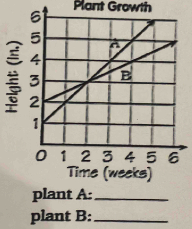 Plant Growth 
plant A:_ 
plant B:_