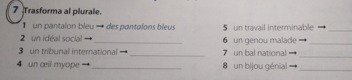 Trasforma al plurale. 
1 un pantalon bleu → des pantalons bleus 5 un travail interminable_ 
2 un idéal social 
_6 un genou malade_ 
3 un tribunal international _7 un bal national 
_ 
4 un œil myope _8 un bijou génial_