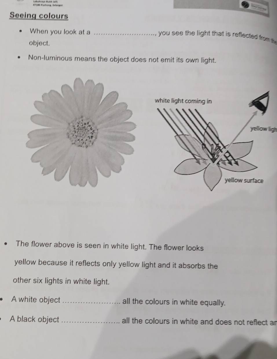 #F180 Furfoine, Satenger 
Seeing colours 
When you look at a_ 
you see the light that is reflected from th 
object. 
Non-luminous means the object does not emit its own light. 
yellow ligh 
The flower above is seen in white light. The flower looks 
yellow because it reflects only yellow light and it absorbs the 
other six lights in white light. 
A white object _all the colours in white equally. 
A black object_ all the colours in white and does not reflect an