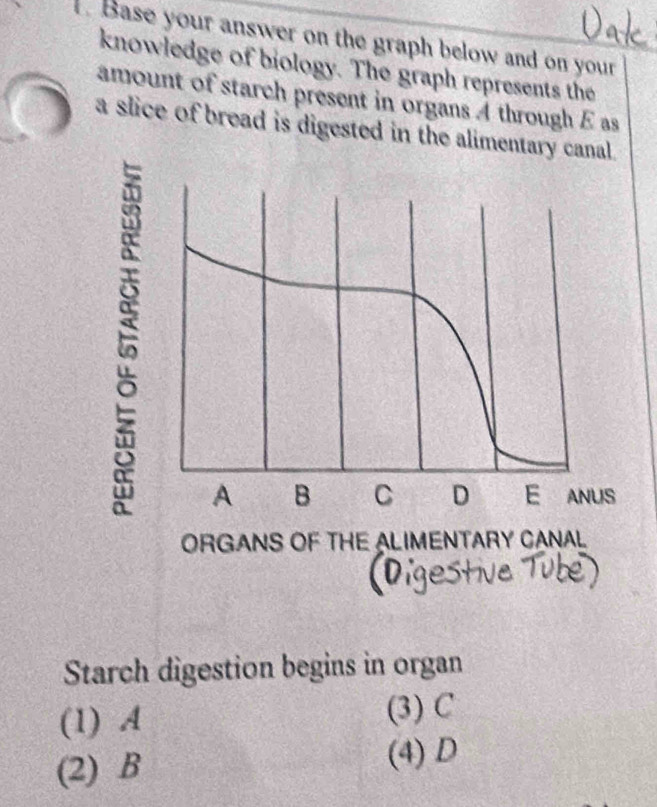 Base your answer on the graph below and on your
knowledge of biology. The graph represents the
amount of starch present in organs 4 through E as
a slice of bread is digested in the alimentar
ORGANS OF THE ALIMENTARY CANAL
Starch digestion begins in organ
(1) A (3) C
(2) B
(4) D