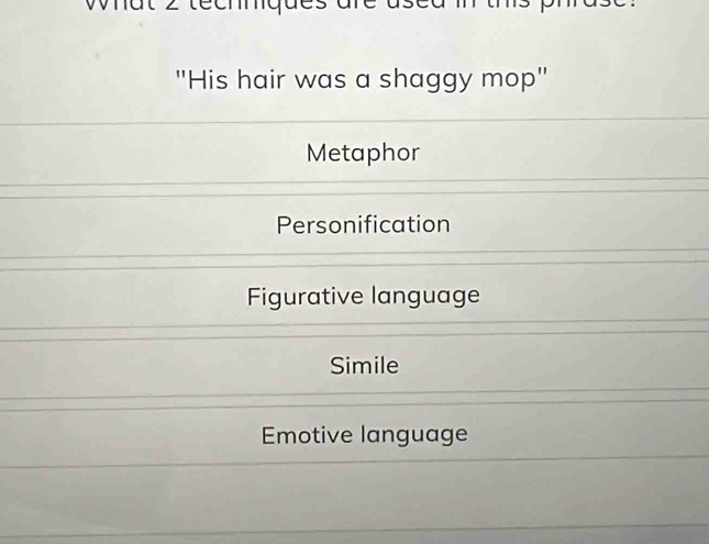 'His hair was a shaggy mop"
Metaphor
Personification
Figurative language
Simile
Emotive language