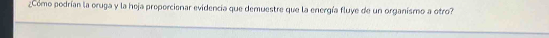 ¿Cómo podrían la oruga y la hoja proporcionar evidencia que demuestre que la energía fluye de un organismo a otro?