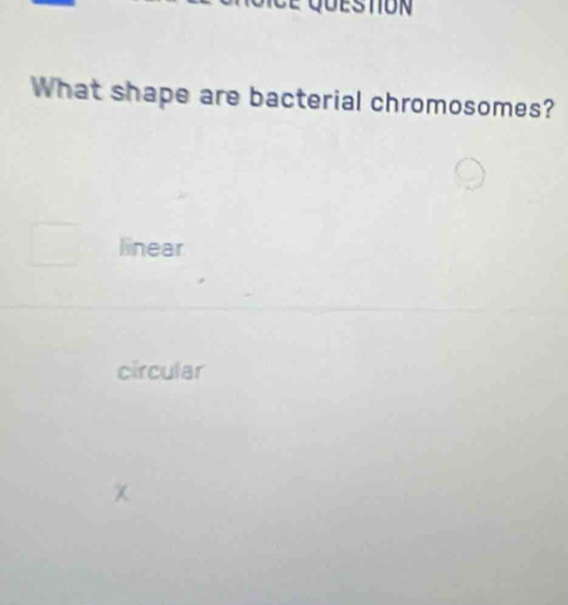 DESTION
What shape are bacterial chromosomes?
linear
circular