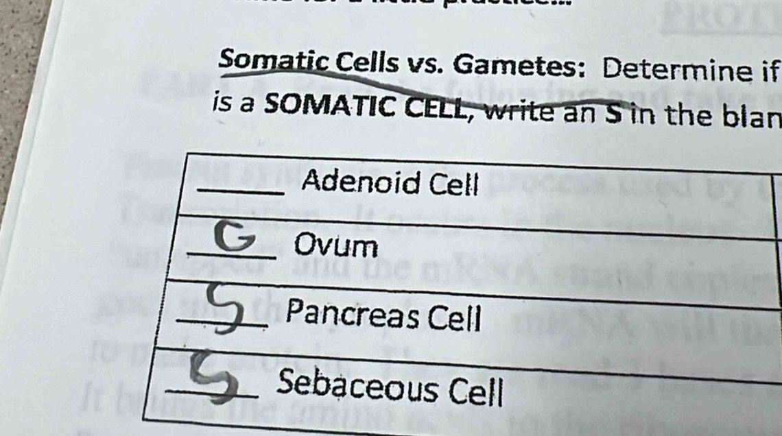 Somatic Cells vs. Gametes: Determine if 
is a SOMATIC CELL, write an S in the blan