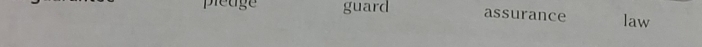 pleage guard assurance law