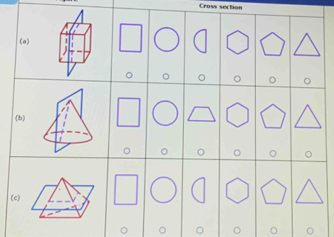 Cross section 
(a) 
(b) 
(c)