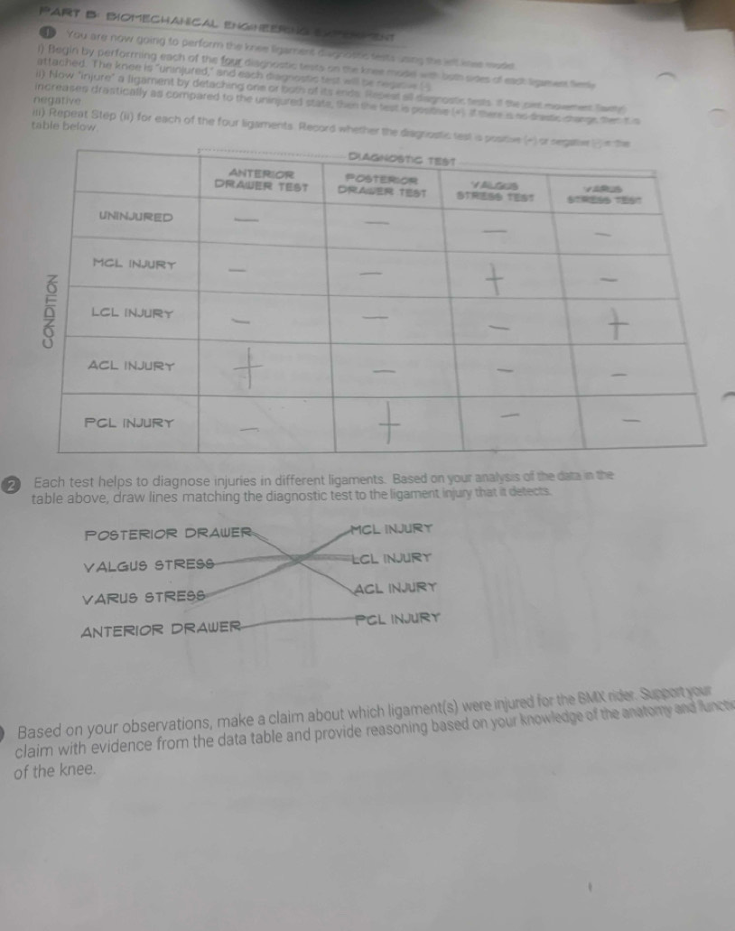 Bomechanical engheerng eapemment
You are now going to perform the knee ligament diugnotnc fests using the let knee mode
l) Begin by perforrning each of the four diagnostic tests on the knee mode with both sides of east ligament lemi
attached. The knee is "uninjured," and each diagnostic test will be negatie _
ii) Now "injure" a ligament by detaching one or both of its ends. Repest all diagnostc tests. If the joxt movement Twen
negative
increases drastically as compared to the uninjured state, then the test is positse (4) if there is as dastic stange then t s
table below
iiii) Repeat Step (ii) for each of the four ligaments. Record whether the diagno
2 Each test helps to diagnose injuries in different ligaments. Based on your analysis of the data in the
table above, draw lines matching the diagnostic test to the ligament injury that it detects.
POSTERIOR DRAWER MCl injury
VALGUS STRESS LCL INJURT
VARUS STRESS ACL injUrY
ANTERIOR DRAWER PCL INJURY
Based on your observations, make a claim about which ligament(s) were injured for the BMX rider. Supportyour
claim with evidence from the data table and provide reasoning based on your knowledge of the anatomy and funct
of the knee.