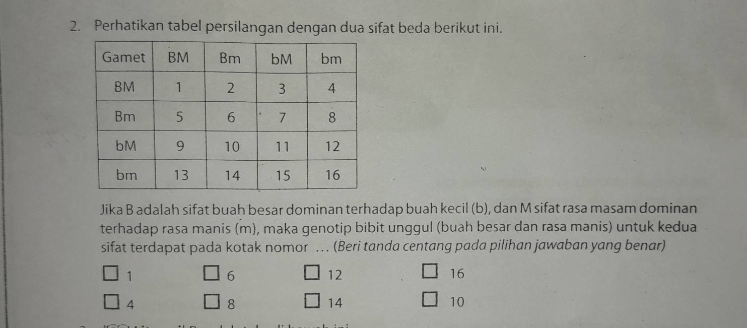 Perhatikan tabel persilangan dengan dua sifat beda berikut ini. 
Jika B adalah sifat buah besar dominan terhadap buah kecil (b), dan M sifat rasa masam dominan 
terhadap rasa manis (m), maka genotip bibit unggul (buah besar dan rasa manis) untuk kedua 
sifat terdapat pada kotak nomor … (Beri tanda centang pada pilihan jawaban yang benar)
1
6
12
16
4
8
14
10