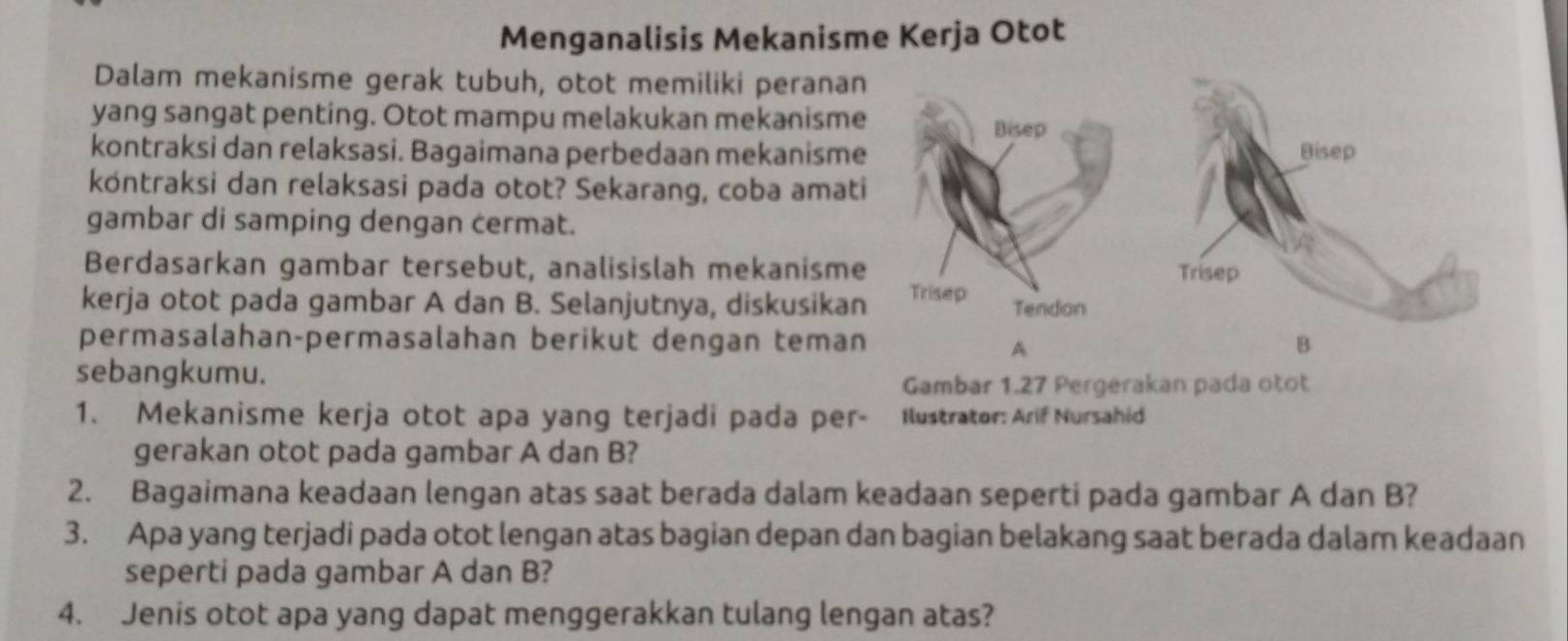 Menganalisis Mekanisme Kerja Otot 
Dalam mekanisme gerak tubuh, otot memiliki perana 
yang sangat penting. Otot mampu melakukan mekanism 
kontraksi dan relaksasi. Bagaimana perbedaan mekanism 
kontraksi dan relaksasi pada otot? Sekarang, coba amat 
gambar di samping dengan cermat. 
Berdasarkan gambar tersebut, analisislah mekanism 
kerja otot pada gambar A dan B. Selanjutnya, diskusika 
permasalahan-permasalahan berikut dengan tema B 
A 
sebangkumu. 
Gambar 1.27 Pergerakan pada otot 
1. Mekanisme kerja otot apa yang terjadi pada per- Ilustrator: Arif Nursahid 
gerakan otot pada gambar A dan B? 
2. Bagaimana keadaan lengan atas saat berada dalam keadaan seperti pada gambar A dan B? 
3. Apa yang terjadi pada otot lengan atas bagian depan dan bagian belakang saat berada dalam keadaan 
seperti pada gambar A dan B? 
4. Jenis otot apa yang dapat menggerakkan tulang lengan atas?