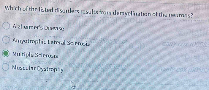 Which of the listed disorders results from demyelination of the neurons?
Alzheimer’s Disease
Amyotrophic Lateral Sclerosis
Multiple Sclerosis
Muscular Dystrophy