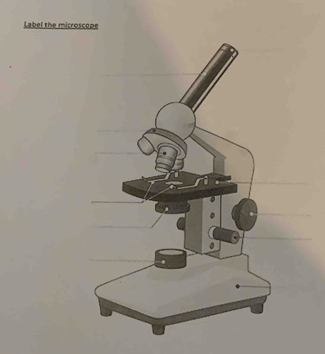 Label the microscope