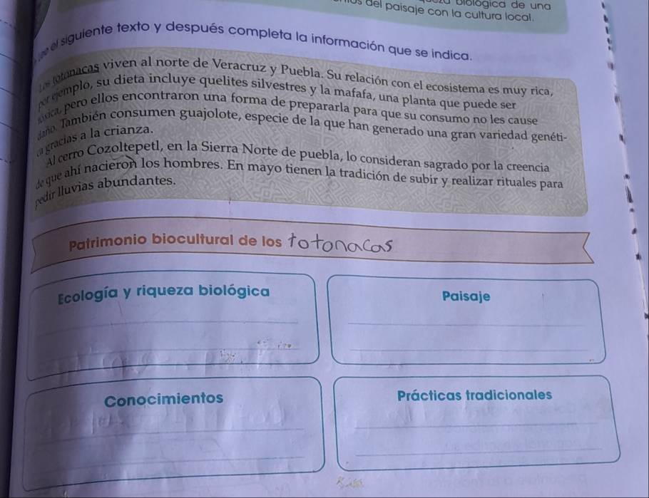 Zu biológica de una 
0s del paisaje con la cultura local. 
e el siguiente texto y después completa la información que se indica. 
he lolonacas viven al norte de Veracruz y Puebla. Su relación con el ecosistema es muy rica, 
eemplo, su dieta incluye quelites silvestres y la mafafa, una planta que puede ser 
ma peró ellos encontraron una forma de prepararla para que su consumo no les cause 
Jano. También consumen guajolote, especie de la que han generado una gran variedad genéti- 
a gracias a la críanza. 
Al cerro Cozoltepetl, en la Sierra Norte de puebla, lo consideran sagrado por la creencia 
de que ahí nacieron los hombres. En mayo tienen la tradición de subir y realizar rituales para 
pedir lluvias abundantes. 
Patrimonio biocultural de los totonacas 
_ 
Ecología y riqueza biológica Paisaje 
_ 
_ 
_ 
_ 
Conocimientos Prácticas tradicionales 
_ 
_ 
_ 
_