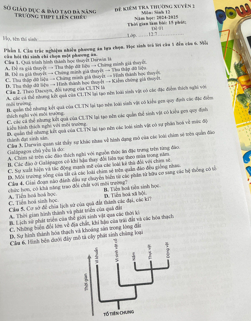 Sở giáo dục & đào tạo đà năng đẻ kiêm tRA thường Xuyên 2
Môn: Sinh 12
trường tHPT liên chiều
Năm học: 2024-2025
Thời gian làm bài: 15 phút;
Đề 01
Họ, tên thí sinh: _.Lớp. .… 12.7
Phần I. Câu trắc nghiệm nhiều phương án lựa chọn. Học sinh trả lời câu 1 đến câu 6. Mỗi
câu hỏi thí sinh chỉ chọn một phương án.
Câu 1. Quá trình hình thành học thuyết Darwin là
A. Đề ra giả thuyết → Thu thập dữ liệu → Chứng minh giả thuyết.
B. Đề ra giả thuyết → Chứng minh giả thuyết → Thu thập dữ liệu.
C. Thu thập dữ liệu → Chứng minh giả thuyết → Hình thành học thuyết.
D. Thu thập dữ liệu → Hình thành học thuyết → Kiểm chứng giả thuyết.
Câu 2. Theo Đacuyn, đối tượng của CLTN là
A. các cá thể nhưng kết quả của CLTN lại tạo nên loài sinh vật có các đặc điểm thích nghi với
B. quần thể nhưng kết quả của CLTN lại tạo nên loài sinh vật có kiểu gen quy định các đặc điểm
môi trường.
thích nghi với môi trường.
C. các cá thể nhưng kết quả của CLTN lại tạo nên các quần thể sinh vật có kiểu gen quy định
kiểu hình thích nghi với môi trường.
D. quần thể nhưng kết quả của CLTN lại tạo nên các loài sinh vật có sự phân hoá về mức độ
Câu 3. Darwin quan sát thấy sự khác nhau về hình dạng mỏ của các loài chim sẻ trên quần đảo
thành đạt sinh sản.
Galápagos chủ yếu là do:
A. Chim sẻ trên các đảo thích nghi với nguồn thức ăn đặc trưng trên từng đảo.
B. Các đảo ở Galápagos có khí hậu thay đổi liên tục theo mùa trong năm.
C. Sự xuất hiện và tác động mạnh mẽ của các loài kẻ thù đối với chim sẻ.
D. Môi trường sống của tất cả các loài chim sẻ trên quần đảo đều giống nhau.
Câu 4. Giai đoạn nào đánh dấu sự chuyển biến từ các phân tử hữu cơ sang các hệ thống có tổ
chức hơn, có khả năng trao đổi chất với môi trường?
A. Tiến hoá hoá học. B. Tiến hoá tiền sinh học.
C. Tiến hoá sinh học. D. Tiến hoá xã hội.
Câu 5. Cơ sở để chia lịch sử của quả đất thành các đại, các kỉ?
A. Thời gian hình thành và phát triển của quả đất
B. Lịch sử phát triển của thể giới sinh vật qua các thời kì
C. Những biến đồi lớn về địa chất, khí hậu của trái đất và các hóa thạch
D. Sự hình thành hóa thạch và khoáng sản trong lòng đất
Câu 6. Hình bên dưới đây  cây phát sinh chủng loại