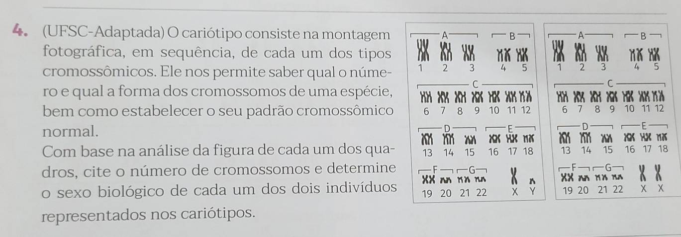 (UFSC-Adaptada) O cariótipo consiste na montagem A 
B 
A 
B 
fotográfica, em sequência, de cada um dos tipos 

cromossômicos. Ele nos permite saber qual o núme - 1 2 3 4 5 7 2 3 4 5
C 
C 
ro e qual a forma dos cromossomos de uma espécie, HH XX XH Xã HK Xã K½ X XK K X 
bem como estabelecer o seu padrão cromossômico 6 7 8 9 10 11 12 6 8 9 10 11 12
normal. 
D 
F 
D 
F 
1K XX XX 1X 
XX a 
Com base na análise da figura de cada um dos qua - 13 14 15 16 17 18 13 14 15 16 17 18
dros, cite o número de cromossomos e determine E G 
G 
XX nn r× nn XX nã Xã nã 
o sexo biológico de cada um dos dois indivíduos 19 20 21 22 X 19 20 21 22 X x
representados nos cariótipos.