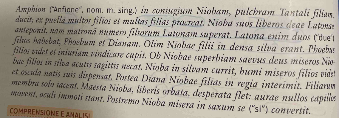 Amphion (''Anfione'', nom. m. sing.) in coniugium Niobam, pulchram Tantali filiam, 
ducit; ex puellā multos filios et multas filias procreat. Nioba suos liberos deae Latonae 
anteponit, nam matronă numero filiorum Latonam superat. Latona enim duos (''due'') 
filios habebat, Phoebum et Dianam. Olim Niobae filii in densa silva erant. Phoebus 
filios videt et iniuriam vindicare cupit. Ob Niobae superbiam saevus deus miseros Nio- 
bae filios in silva acutis sagittis necat. Nioba in silvam currit, humi miseros filios videt 
et oscula natis suis dispensat. Postea Diana Niobae filias in regia interimit. Filiarum 
membra solo iacent. Maesta Nioba, liberis orbata, desperata flet: aurae nullos capillos 
movent, oculi immoti stant. Postremo Nioba misera in saxum se (“si”) convertit. 
COMPRENSIONE E ANALISI