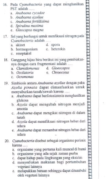 Pada Cyanobacteria yang dapat menghasilkan
PST adalah_. Anabaena cycadae
b. Anabaena azollae
c. Anabaena fertillisima
d. Spirulina maxima
e. Gleocapsa magna
17. Sel yang berfungsi untuk menfiksasi nitrogen pada
Cyanobacteria adalah_
a akinet d. spora
b. hormogonium e. heterokis
c. reseptakel
18. Ganggang hijau biru berikut ini yang pembiakan-
nya dengan cara fragmentasi adalah te_
Clamidomonas d. Gloeocapsa
b. Oscilatoria e. Chroocosus
c. Ocromonas
19. Simbiosis antara Anabaena αzollue đengan paku 5
Azolla pinnata dapat dimanfaatkan untuk
menyuburkan tanah/sawah karena_
a. Anabaena dapat berfotosintesis menghasilkan
glukosa
b. Azzola dapat mengubah nitrogen menjadi
amonia
c. Anabaena dapat mengikat nitrogen di dalam
tanah
d. Azzola dapat memfiksasi nitrogen bebas dari
udara
e. Anabaena dapat menambat nitrogen bebas dari
udara
20. Cyanobacteria disebut sebagai organisme perintis
karena … .
a
a. organisme yang pertama kali muncul di bumi
b. organisme yang ada sejak zaman purba
c. dapat hidup pada lingkungan yang ekstrim
d. menyediakan makanan bagi pertumbuhan
vegetasi lainnya
e. melapukkan batuan schingga dapat ditumbuhi
oleh vegetasi lainnya