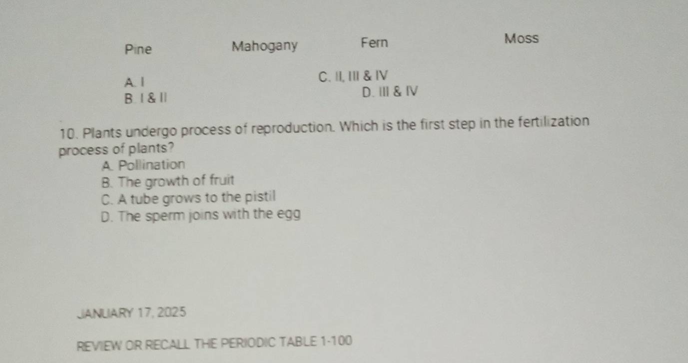 Pine Mahogany
Fern Moss
A. 1 C. II, I & Ⅳ
B. 1 & l D.Ⅲ& Ⅳ
10. Plants undergo process of reproduction. Which is the first step in the fertilization
process of plants?
A. Pollination
B. The growth of fruit
C. A tube grows to the pistil
D. The sperm joins with the egg
JANUIARY 17, 2025
REVIEW OR RECALL THE PERIODIC TABLE 1-100