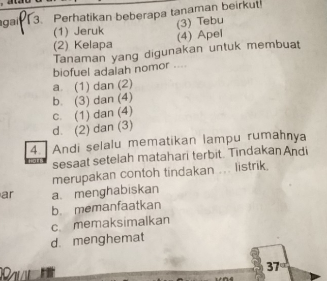 gai 3、 Perhatikan beberapa tanaman beirkut
(1) Jeruk (3) Tebu
(2) Kelapa (4) Apel
Tanaman yang digunakan untuk membuat
biofuel adalah nomor ....
a (1) dan (2)
b. (3) dan (4)
c. (1) dan (4)
d. (2) dan (3)
4. Andi selalu mematikan lampu rumahnya
HOTS sesaat setelah matahari terbit. Tindakan Andi
merupakan contoh tindakan ... listrik.
ar a menghabiskan
b. memanfaatkan
c. memaksimalkan
d. menghemat
37°