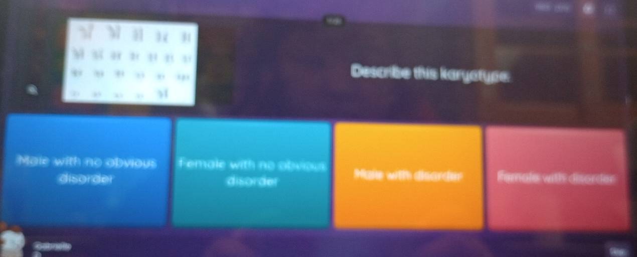 Descrie this karyotype
Male with no obyious F emale with no ob wo
disor de) disorder
amols wih 24