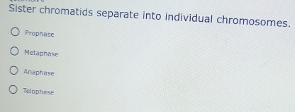 Sister chromatids separate into individual chromosomes.
Prophase
Metaphase
Anaphase
Telophase