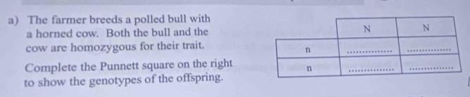 The farmer breeds a polled bull with 
a horned cow. Both the bull and the 
cow are homozygous for their trait. 
Complete the Punnett square on the right 
to show the genotypes of the offspring.