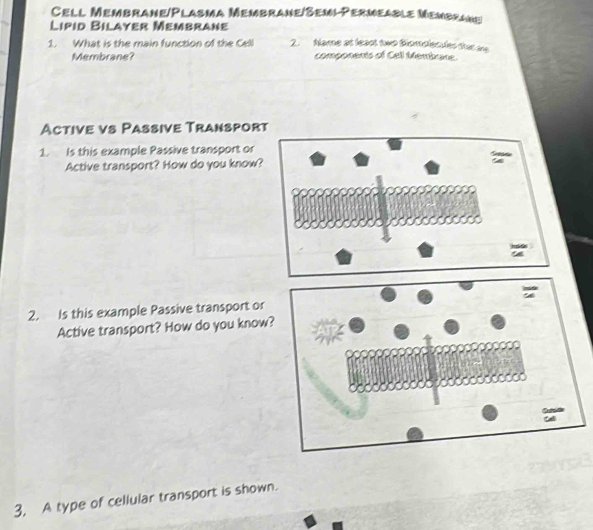 Cell Membrane/Plasma Membrane/Semi-Permeable Membrane 
Lipid Bilayer Membrane 
1. What is the main function of the Cell 2. Alame at least two Blomolesuler that are 
Membrane? components of Call Membane. 
Active vs Passive Transpor 
1. Is this example Passive transport or 
Active transport? How do you know? 
2. Is this example Passive transport or 
Active transport? How do you know 
3, A type of cellular transport is shown.