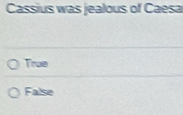 Cassius was jealous of Caesa
True
False