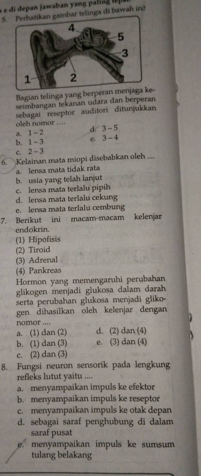 é é di epan awaban an i l 
5. Perhatikan gambar telinga di bawah in
Bagian telinga yang berp-
seimbangan tekanan udara dan berperan
sebagai reseptor auditori ditunjukkan
oleh nomor ..
a. 1-2 d. 3-5
b. 1-3 e. 3-4
C. 2-3
6. Kelainan mata miopi disebabkan oleh ....
a. lensa mata tidak rata
b. usia yang telah lanjut
c. lensa mata terlalu pipih
d. lensa mata terlalu cekung
e. lensa mata terlalu cembung
7. Berikut ini macam-macam kelenjar
endokrin.
(1) Hipofisis
(2) Tiroid
(3) Adrenal
(4) Pankreas
Hormon yang memengaruhi perubahan
glikogen menjadi glukosa dalam darah
serta perubahan glukosa menjadi gliko-
gen dihasilkan oleh kelenjar dengan
nomor ....
a. (1) dan (2) d. (2) dan (4)

b. (1) dan (3) e. (3) dan (4)
c. (2) dan (3)
8. Fungsi neuron sensorik pada lengkung
refleks lutut yaitu ....
a. menyampaikan impuls ke efektor
b. menyampaikan impuls ke reseptor
c. menyampaikan impuls ke otak depan
d. sebagai saraf penghubung di dalam
saraf pusat
e menyampaikan impuls ke sumsum 
tulang belakang