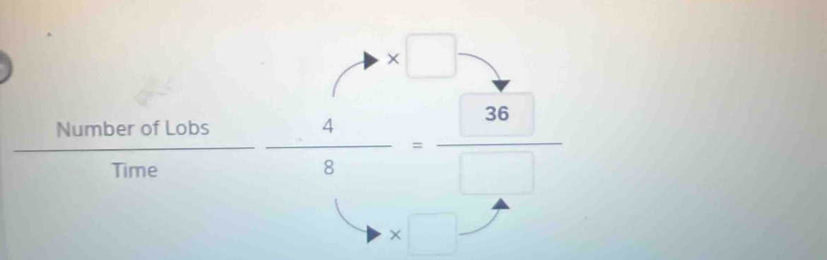 y-3=01 * □ · 7
 NumberofLobs/Time  4/8 = 36/□  
* □.