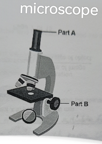 microscope