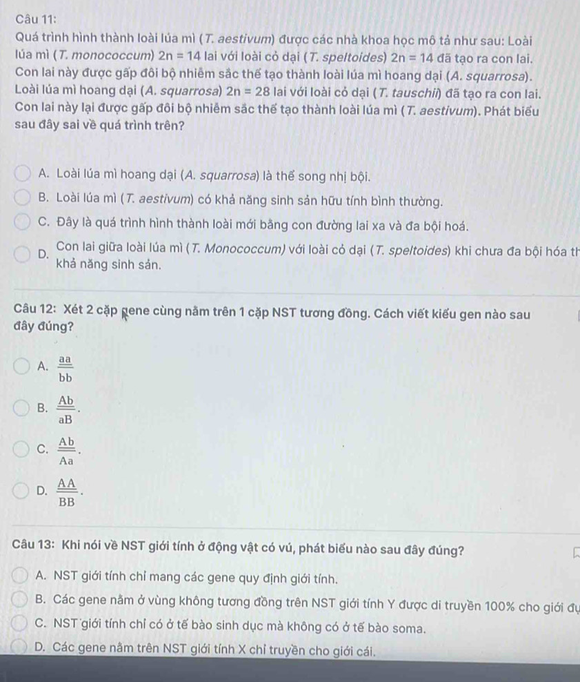 Quá trình hình thành loài lúa mì ( T. aestivum) được các nhà khoa học mô tả như sau: Loài
Iúa mì ( T. monococcum) 2n=14 lai với loài cỏ dại ( T. speltoides) 2n=14 đã tạo ra con lai.
Con lai này được gấp đôi bộ nhiêm sắc thế tạo thành loài lúa mì hoang dại (A. squarrosa).
Loài lúa mì hoang dại (A. squarrosa) 2n=28 lai với loài cỏ dại ( T. tauschii) đã tạo ra con lai.
Con lai này lại được gấp đôi bộ nhiễm sắc thế tạo thành loài lúa mì ( T. aestivum). Phát biểu
sau đây sai về quá trình trên?
A. Loài lúa mì hoang dại (A. squarrosa) là thể song nhị bội.
B. Loài lúa mì ( T. aestivum) có khả năng sinh sản hữu tính bình thường.
C. Đây là quá trình hình thành loài mới bằng con đường lai xa và đa bội hoá.
D. Con lai giữa loài lúa mì ( T. Monococcum) với loài cỏ dại ( T. speltoides) khi chưa đa bội hóa th
khả năng sinh sản.
Câu 12: Xét 2 cặp gene cùng nằm trên 1 cặp NST tương đồng. Cách viết kiểu gen nào sau
đây đúng?
A.  aa/bb 
B.  Ab/aB .
C.  Ab/Aa .
D.  AA/BB .
Câu 13: Khi nói về NST giới tính ở động vật có vú, phát biểu nào sau đây đúng?
A. NST giới tính chỉ mang các gene quy định giới tính.
B. Các gene nằm ở vùng không tương đồng trên NST giới tính Y được di truyền 100% cho giới đự
C. NST giới tính chỉ có ở tế bào sinh dục mà không có ở tế bào soma.
D. Các gene nằm trên NST giới tính X chỉ truyền cho giới cái.