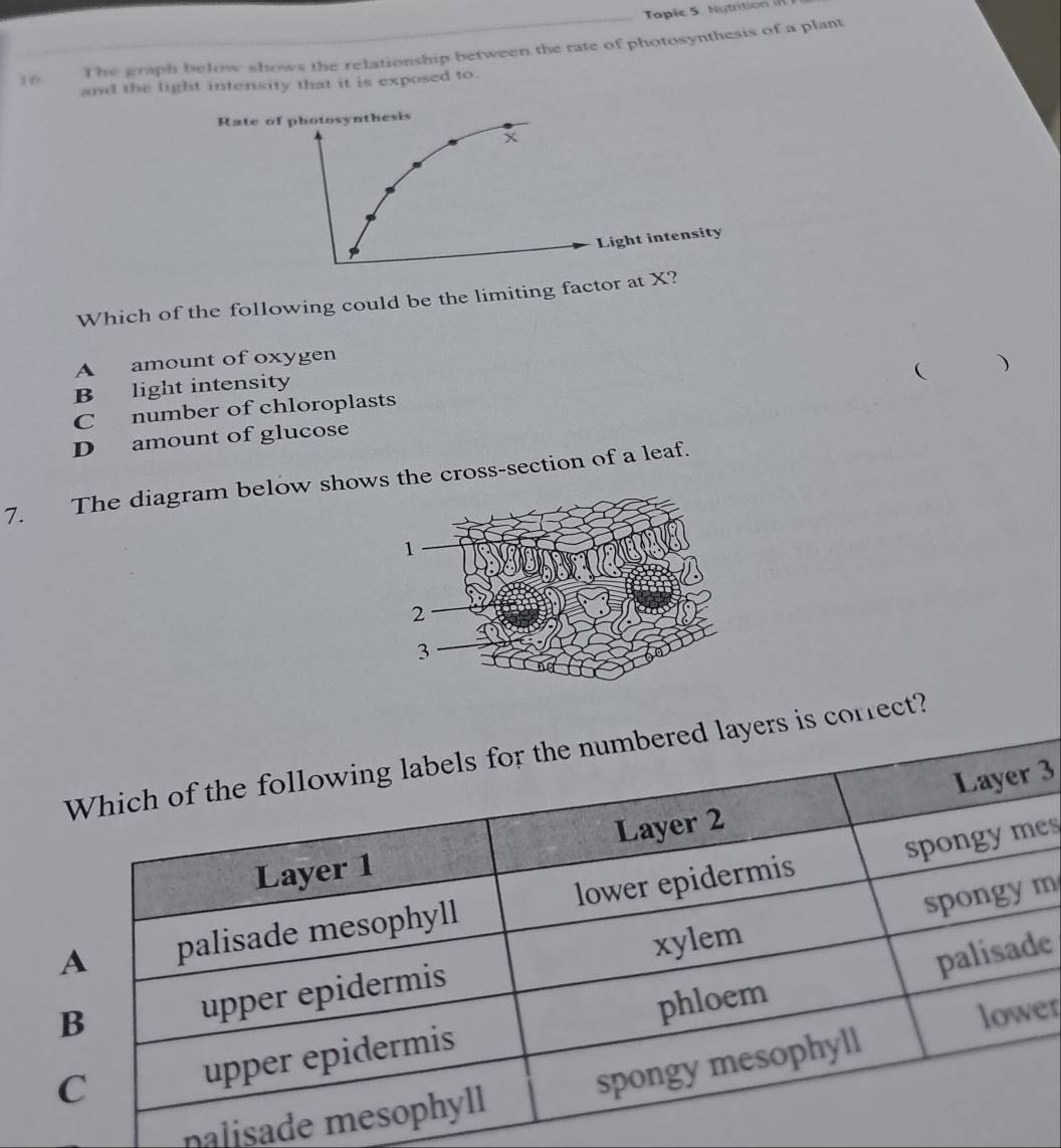The graph below shows the relationship between the rate of photosynthesis of a plant
and the light intensity that it is exposed to.
Rate of photosynthesis
x
Light intensity
Which of the following could be the limiting factor at X?
A amount of oxygen
( )
B light intensity
C number of chloroplasts
D amount of glucose
7. The diagram below shows the cross-section of a leaf.
layers is correct?
3
s
m
e
er
nalisad