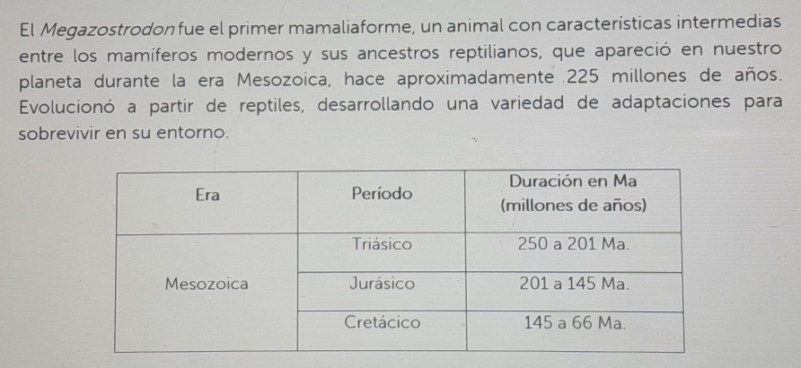 El Megazostrodon fue el primer mamaliaforme, un animal con características intermedias 
entre los mamíferos modernos y sus ancestros reptilianos, que apareció en nuestro 
planeta durante la era Mesozoica, hace aproximadamente . 225 millones de años. 
Evolucionó a partir de reptiles, desarrollando una variedad de adaptaciones para 
sobrevivir en su entorno.