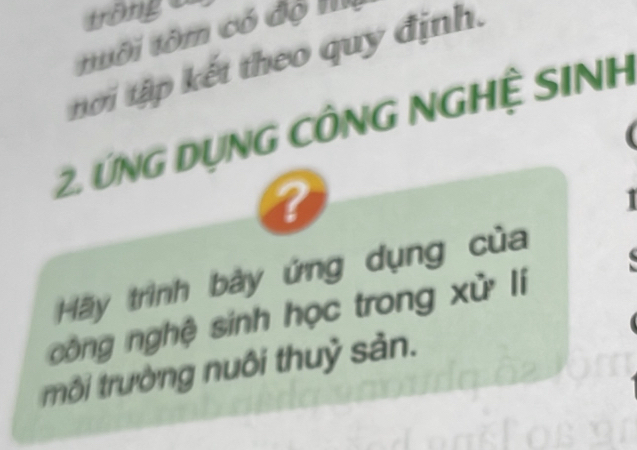 tongo 
tuôi tôm có độ III 
nới tập kết theo quy định. 
2. ỨNG DỤNG CÔNG NGHỆ SINH 
( 
? 
Hãy trình bày ứng dụng của 
công nghệ sinh học trong xử lí 
rôi trường nuôi thuỷ sản.