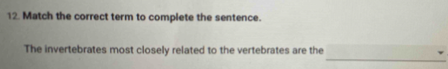 Match the correct term to complete the sentence. 
_ 
The invertebrates most closely related to the vertebrates are the