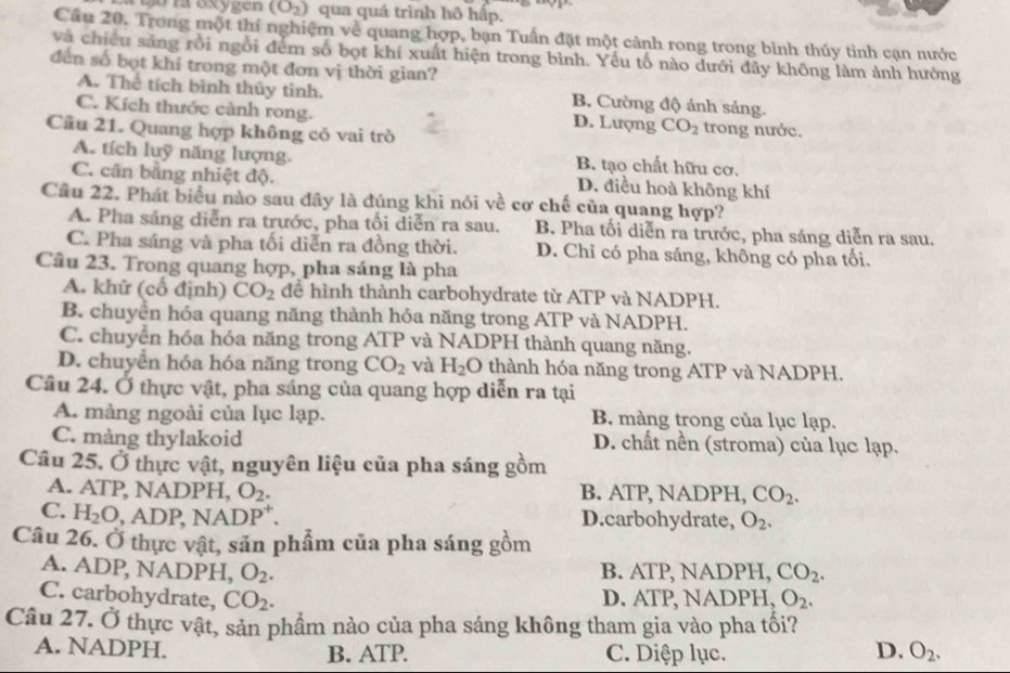 a Đo la oxygen (O_2) qua quá trình hô hấp.
Cầu 20. Trong một thí nghiệm về quang hợp, bạn Tuấn đặt một cảnh rong trong bình thủy tinh cạn nước
và chiếu sáng rồi ngồi đêm số bọt khí xuất hiện trong bình. Yếu tố nào dưới đây không làm ảnh hường
dến số bọt khí trong một đơn vị thời gian?
A. Thể tích bình thủy tỉnh. B. Cường độ ảnh sảng.
C. Kích thước cành rong. D. Lượng CO_2 trong nước.
Cầu 21. Quang hợp không có vai trò
A. tích luỹ năng lượng. B. tạo chất hữu cơ.
C. cân bằng nhiệt độ. D. điều hoà không khí
Câu 22. Phát biểu nào sau đây là đúng khi nói về cơ chế của quang hợp?
A. Pha sảng diễn ra trước, pha tối diễn ra sau. B. Pha tối diễn ra trước, pha sáng diễn ra sau.
C. Pha sáng và pha tối diễn ra đồng thời. D. Chỉ có pha sáng, không có pha tối.
Câu 23. Trong quang hợp, pha sáng là pha
A. khử (cổ định) CO_2 để hình thành carbohydrate từ ATP và NADPH.
B. chuyền hóa quang năng thành hóa năng trong ATP và NADPH.
C. chuyển hóa hóa năng trong ATP và NADPH thành quang năng.
D. chuyển hóa hóa năng trong CO_2 và H_2O * thành hóa năng trong ATP và NADPH.
Cầu 24. Ở thực vật, pha sáng của quang hợp diễn ra tại
A. màng ngoài của lục lạp. B. màng trong của lục lạp.
C. màng thylakoid D. chất nền (stroma) của lục lạp.
Câu 25. Ở thực vật, nguyên liệu của pha sáng gồm
A. ATP, NADPH, O_2. B. ATP, NADPH, CO_2.
C. H_2O,ADP,NADP^+. D.carbohydrate, O_2.
Câu 26. Ở thực vật, săn phẩm của pha sáng gồm
A. ADP, NADPH, O_2. B. ATP, NADPH, CO_2.
C. carbohydrate, CO_2. D. ATP, NADPH, O_2.
Câu 27. Ở thực vật, sản phầm nào của pha sáng không tham gia vào pha tối?
A. NADPH. C. Diệp lục. D. O_2.
B. ATP.