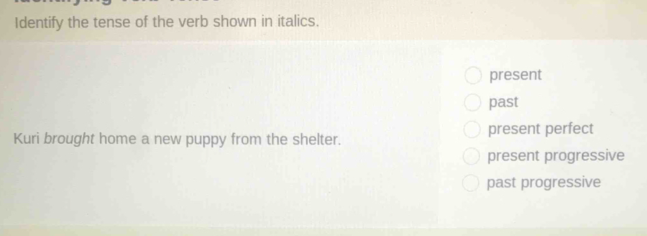 Identify the tense of the verb shown in italics.
present
past
present perfect
Kuri brought home a new puppy from the shelter.
present progressive
past progressive
