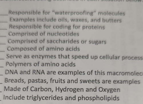 Responsible for “waterproofing” molecules 
Examples include oils, waxes, and butters 
Responsible for coding for proteins 
Comprised of nucleotides 
Comprised of saccharides or sugars 
Composed of amino acids 
Serve as enzymes that speed up cellular process 
Polymers of amino acids 
DNA and RNA are examples of this macromolec 
Breads, pastas, fruits and sweets are examples 
Made of Carbon, Hydrogen and Oxygen 
Include triglycerides and phospholipids