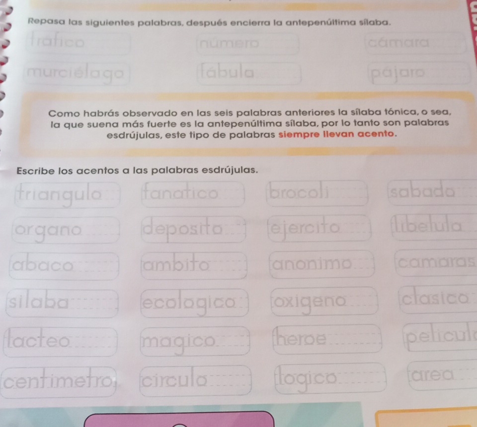 Repasa las siguientes palabras, después encierra la antepenúltima sílaba. 
trafico número cámara 
murciélago fábula pajaro 
Como habrás observado en las seis palabras anteriores la sílaba tónica, o sea, 
la que suena más fuerte es la antepenúltima sílaba, por lo tanto son palabras 
esdrújulas, este tipo de palabras siempre Ilevan acento. 
Escribe los acentos a las palabras esdrújulas. 
triangulo fanatico brocoli sabada 
organo deposito ejercito libelula 
abaco ambito anonimo. camaras 
silaba ecologica oxigeno clasica 
lacteo heroe pelicul 
magico 
centimetro circula logico area