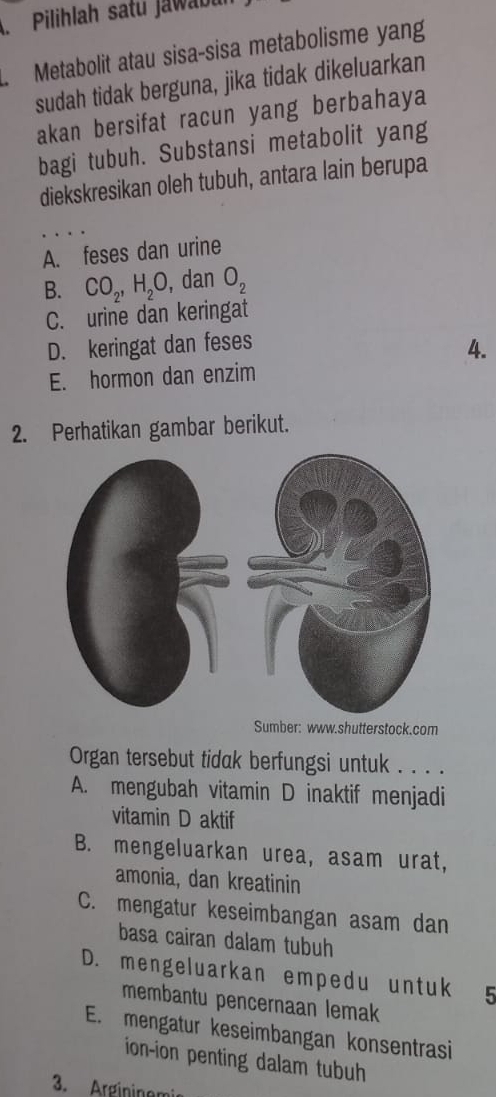 Pilihlah satu Jawabi
Metabolit atau sisa-sisa metabolisme yang
sudah tidak berguna, jika tidak dikeluarkan
akan bersifat racun yang berbahaya
bagi tubuh. Substansi metabolit yang
diekskresikan oleh tubuh, antara lain berupa
A. feses dan urine
B. CO_2, H_2O , dan O_2
C. urine dan keringat
D. keringat dan feses
4.
E. hormon dan enzim
2. Perhatikan gambar berikut.
Sumber: www.shutterstock.com
Organ tersebut tidak berfungsi untuk . . . .
A. mengubah vitamin D inaktif menjadi
vitamin D aktif
B. mengeluarkan urea, asam urat,
amonia, dan kreatinin
C. mengatur keseimbangan asam dan
basa cairan dalam tubuh
D. mengeluarkan empedu untuk 5
membantu pencernaan lemak
E. mengatur keseimbangan konsentrasi
ion-ion penting dalam tubuh
3. Argininem