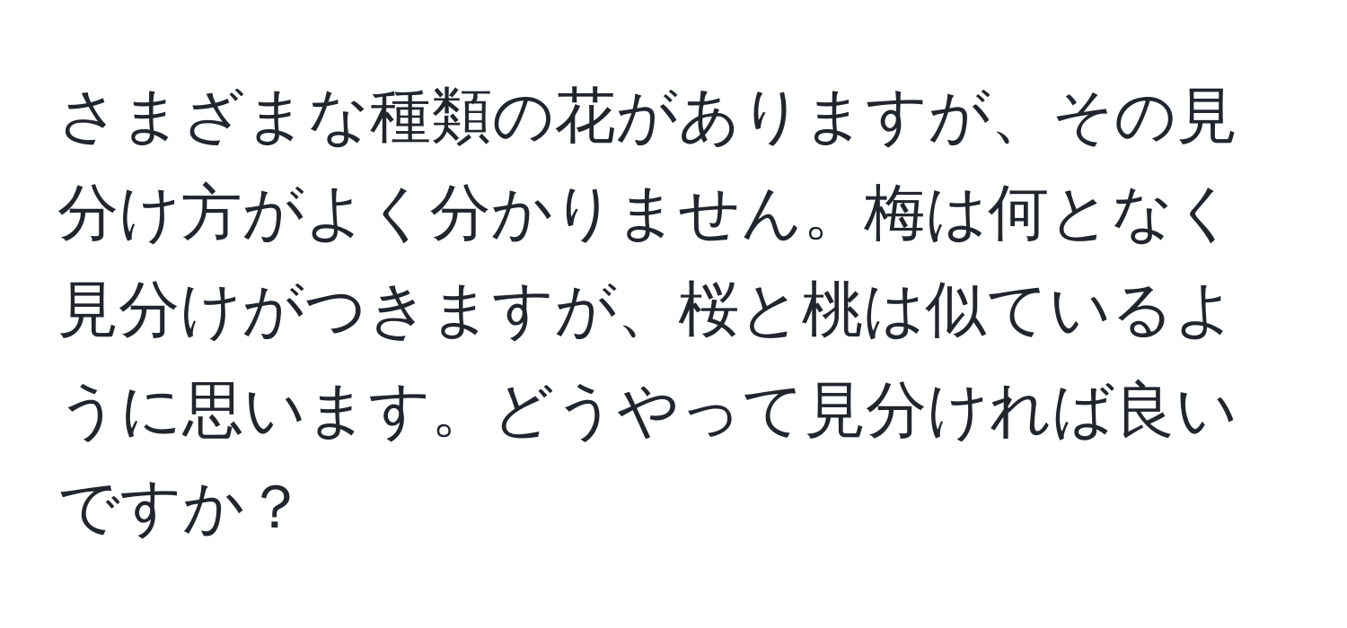 さまざまな種類の花がありますが、その見分け方がよく分かりません。梅は何となく見分けがつきますが、桜と桃は似ているように思います。どうやって見分ければ良いですか？