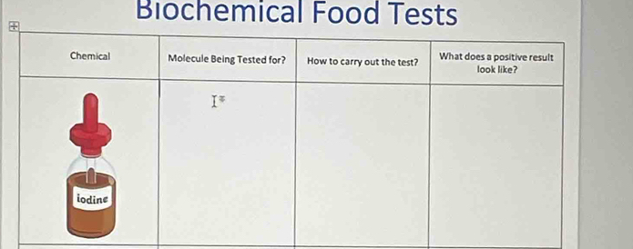 Biochemical Food Tests