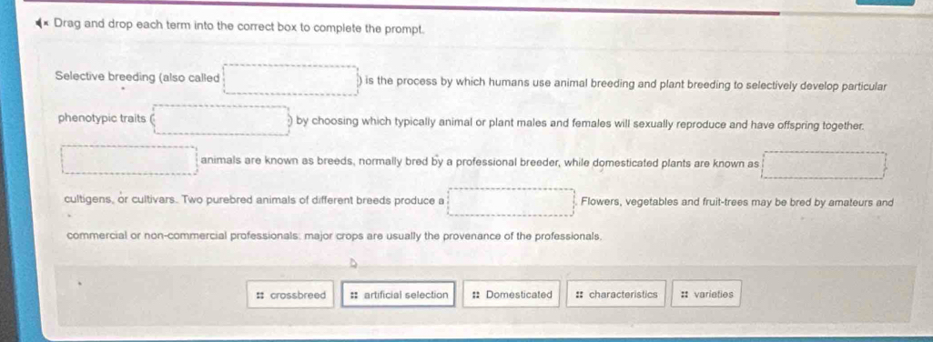 × Drag and drop each term into the correct box to complete the prompt. 
Selective breeding (also called is the process by which humans use animal breeding and plant breeding to selectively develop particular 
phenotypic traits by choosing which typically animal or plant males and females will sexually reproduce and have offspring together. 
animals are known as breeds, normally bred by a professional breeder, while domesticated plants are known as 
cultigens, or cultivars. Two purebred animals of different breeds produce a Flowers, vegetables and fruit-trees may be bred by amateurs and 
commercial or non-commercial professionals: major crops are usually the provenance of the professionals. 
: crossbreed # artificial selection = Domesticated : characteristics :: varieties