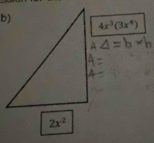 4x^3(3x^4)