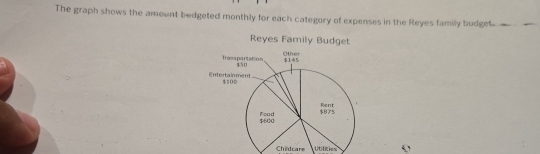 The graph shows the amount bedgeted monthly for each category of expenses in the Reyes family budget 
Childcare Utizies