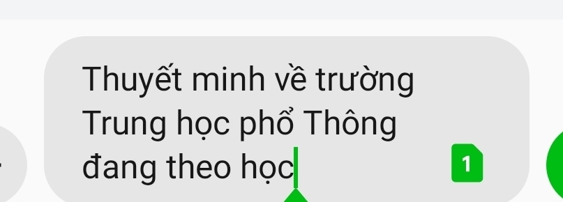 Thuyết minh về trường 
Trung học phổ Thông 
đang theo học 1