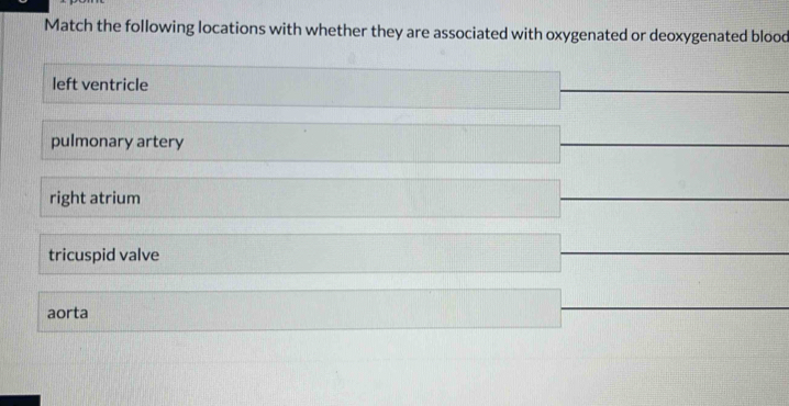 Match the following locations with whether they are associated with oxygenated or deoxygenated blood
left ventricle
pulmonary artery
right atrium
tricuspid valve
aorta