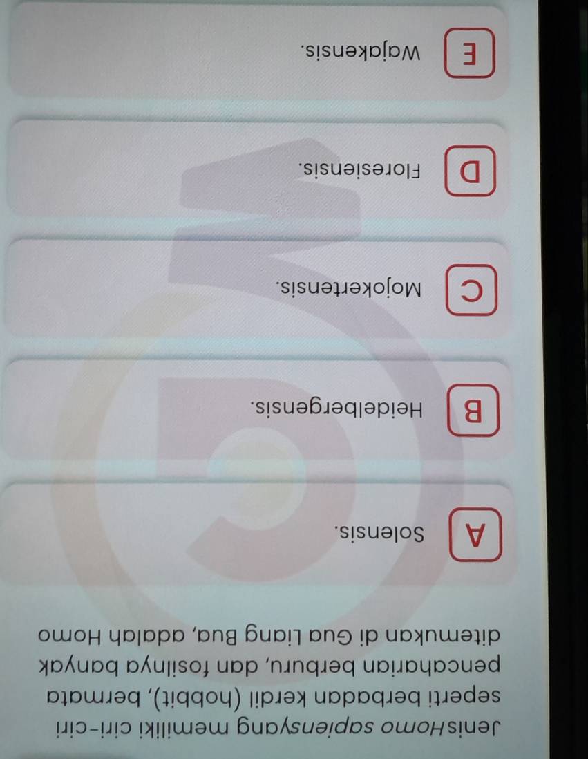 JenisHomo sapiensyang memiliki ciri-ciri
seperti berbadan kerdil (hobbit), bermata
pencaharian berburu, dan fosilnya banyak
ditemukan di Gua Liang Bua, adalah Homo
A Solensis.
B Heidelbergensis.
C Mojokertensis.
D Floresiensis.